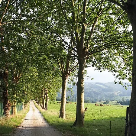Casas Carolinas Casa di campagna Anaz