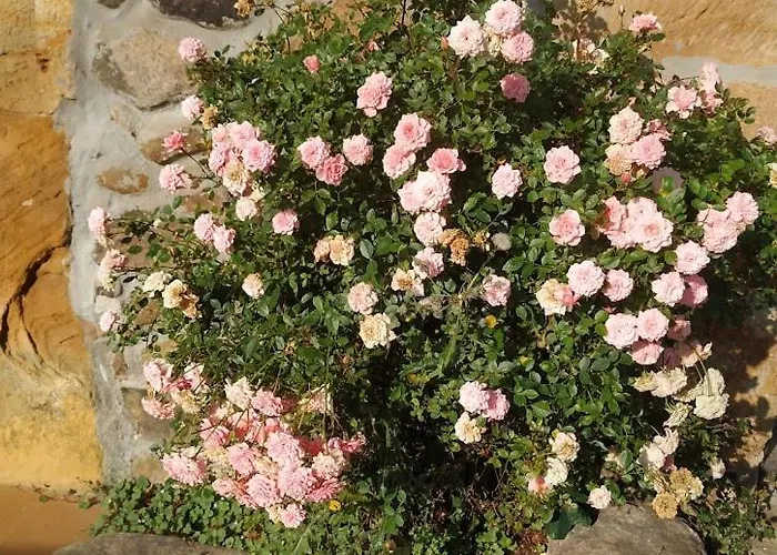 Landsted Casas Carolinas