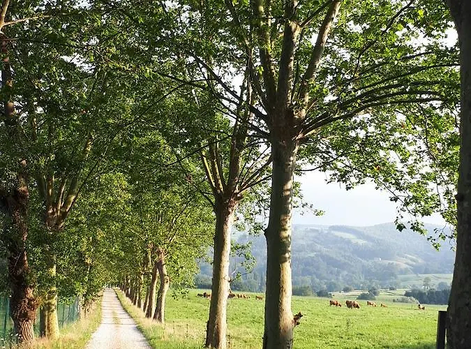 Casas Carolinas Venkovský dům Anaz